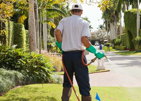 About Haddon Heights NJ Pest Control Pros